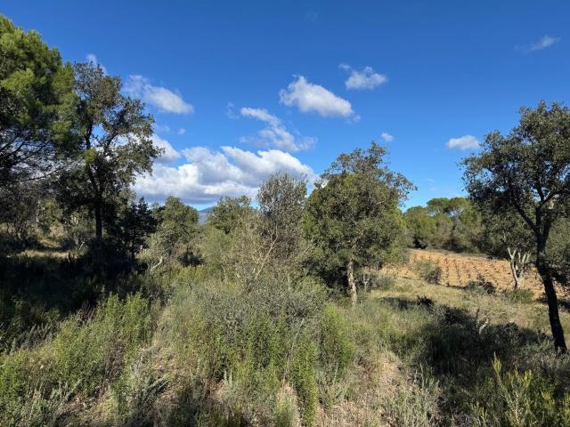 Terreno en venta en Alt Empordà, Catalunya