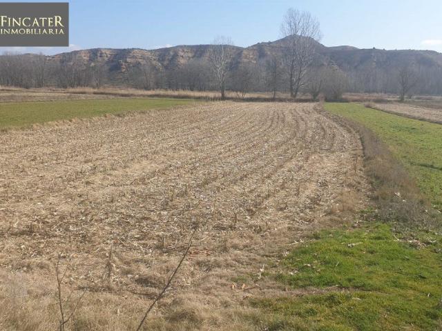 Terreno en venta en Comunidad de Teruel, Aragón