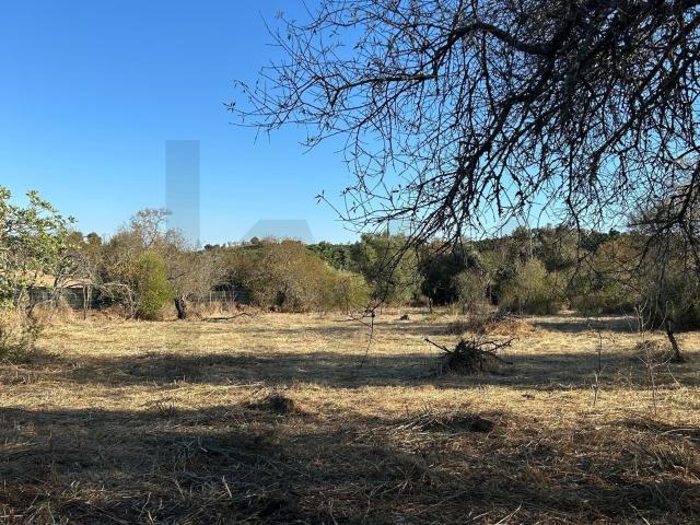 Terreno venda em Algoz, Faro