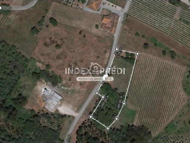 Terreno venda em Cantanhede, Coimbra