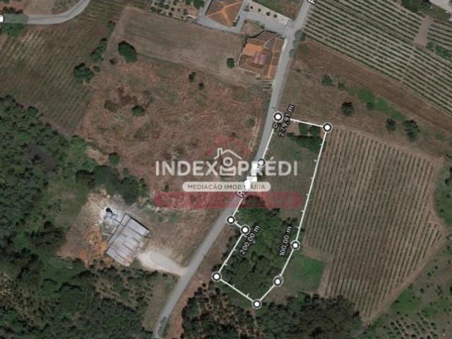 Terreno venda em Cantanhede, Coimbra