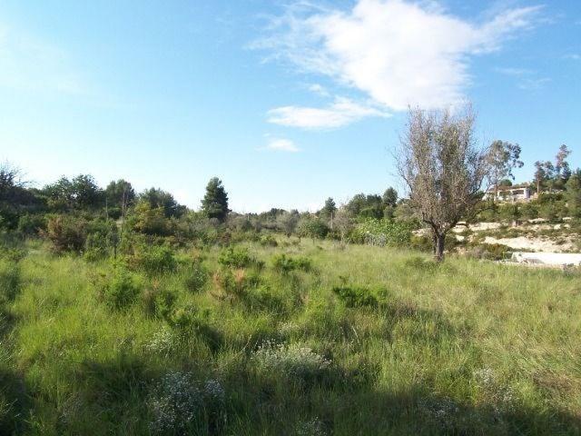 Terreno en venta en Barrio Gila (Maestras Republicanas), La Hoya de Buñol