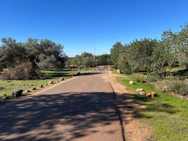 Terreno venda em Loulé, Faro