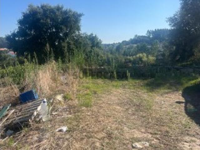 Terreno venda em Leiria