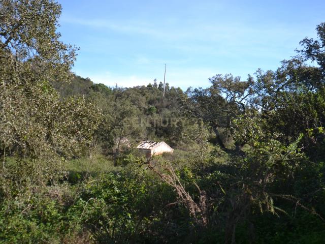 Terreno venda em Cercal, Santiago Do Cacém
