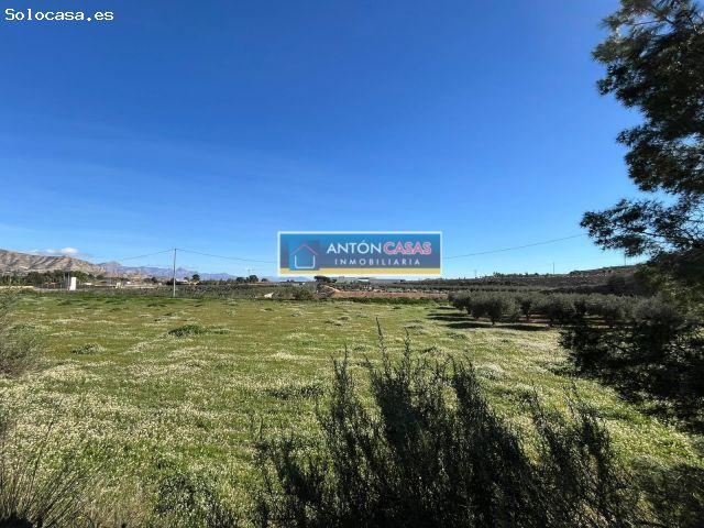 Local Comercial en venta en el Vinalopó Mitjà / El Vinalopó Medio, Valencia