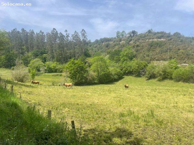 Local Comercial en venta en Roiz, Valdáliga