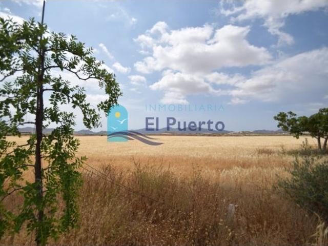 Local Comercial en venta en Saladillo, Bajo Guadalentín