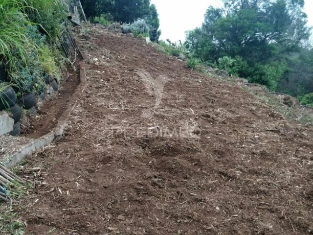 Terreno venda em Machico, Ilha Da Madeira