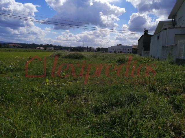 Terreno venda em Landiosa, Águeda