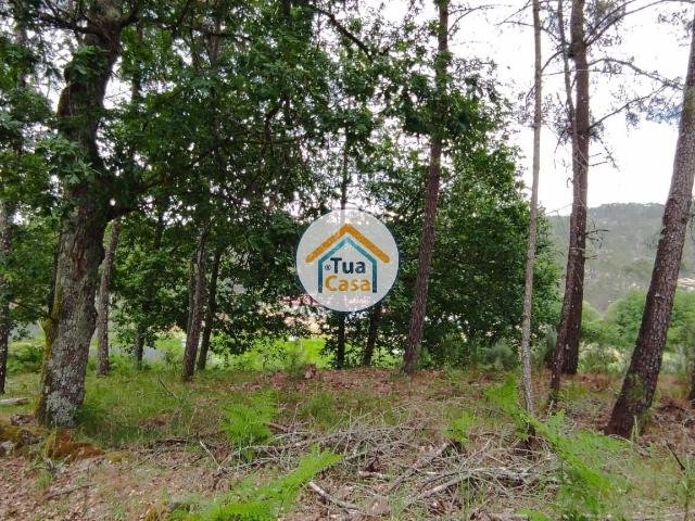 Terreno venda em Guarda, Aguiar Da Beira