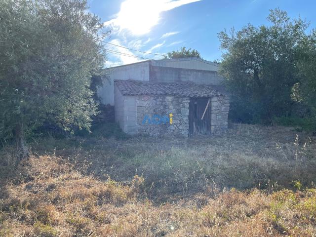 Terreno venda em Castelo Branco