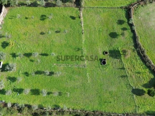 Terreno venda em Castelo Branco