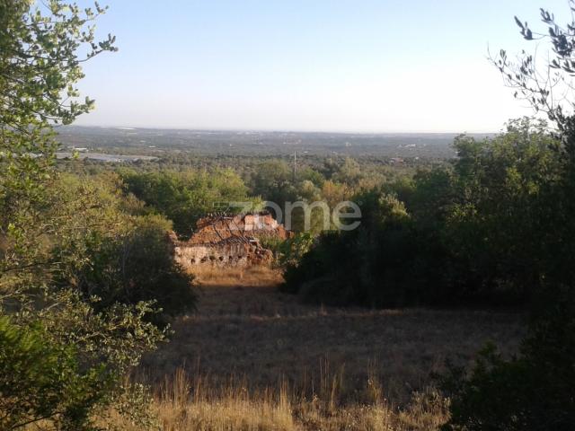 Terreno venda em São Bartolomeu De Messines, Faro