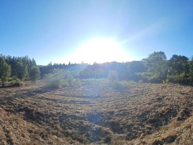 Terreno venda em Azambuja, Lisboa