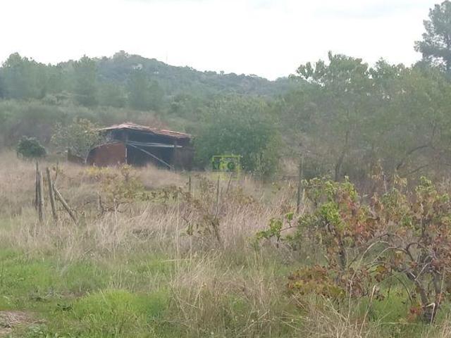 Terreno venda em Castelo Branco, Penamacor