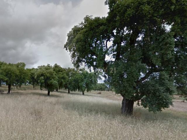 Terreno venda em Castelo Branco, Idanha-a-nova