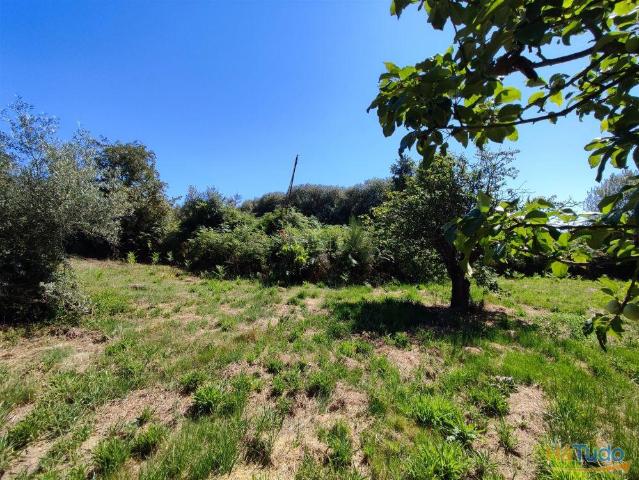 Terreno venda em Castelo Branco, Penamacor