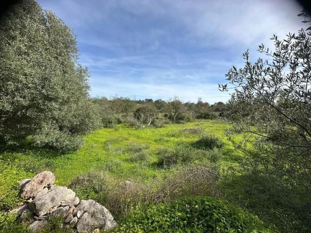 Terreno venda em Loulé, Faro
