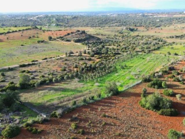 Terreno venda em Silves, Ferrarias