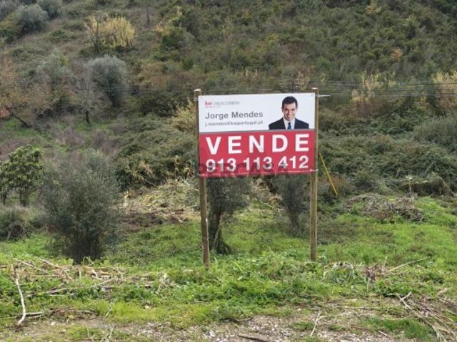 Terreno venda em Coimbrã, Almalaguês