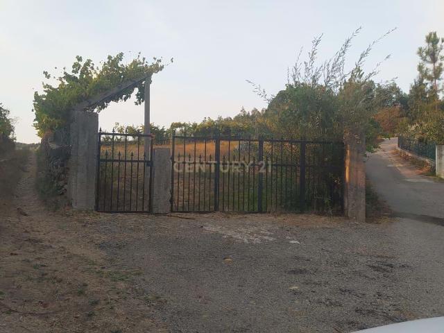 Terreno venda em Arouca, Urrô