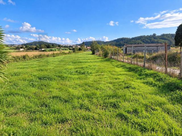 Terreno venda em Taveiro, Ameal e Arzila, Coimbra