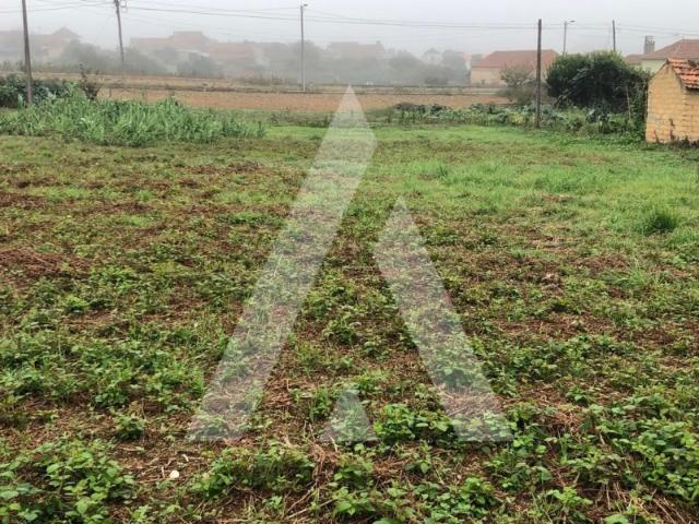 Terreno venda em Anadia, Aveiro