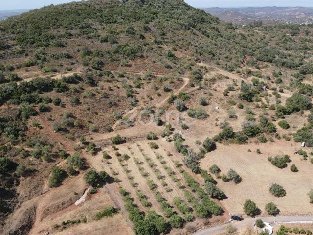 Terreno venda em São Bartolomeu De Messines, Faro