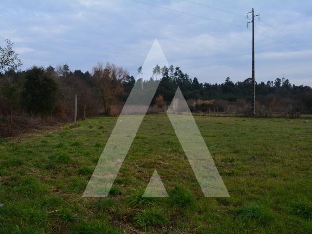 Terreno venda em Anadia, Aveiro