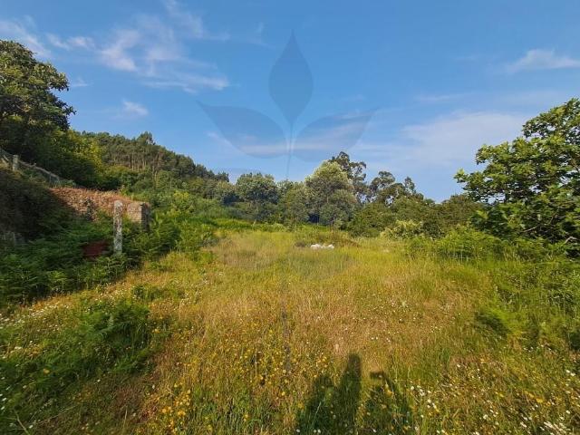 Terreno venda em Anais, Anais