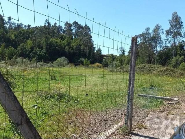 Terreno venda em Anta, Aveiro