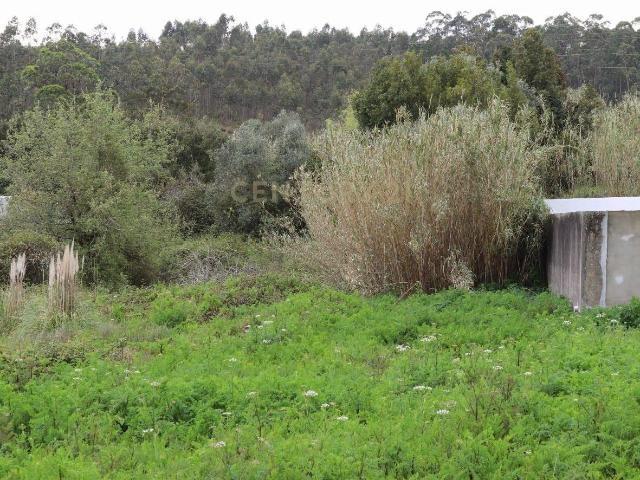Terreno venda em Coimbrã, Antanhol