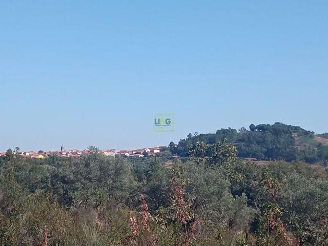 Terreno venda em Castelo Branco, Penamacor