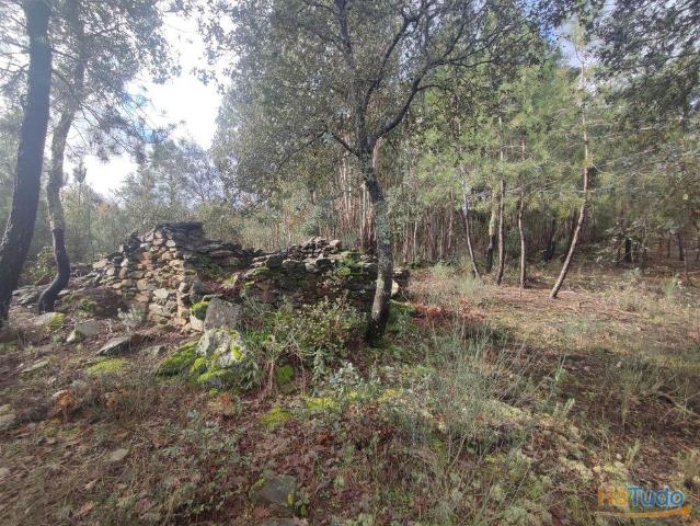 Terreno venda em Castelo Branco, Penamacor