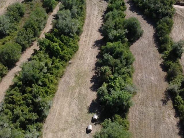 Terreno venda em Alcainça Grande, Mafra
