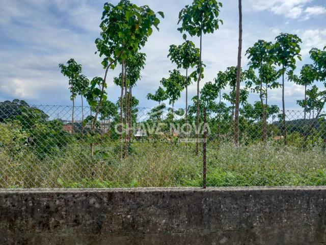 Terreno venda em Santa Maria Da Feira, Aveiro