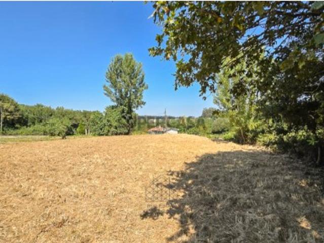 Terreno venda em Santa Maria Da Feira, Aveiro