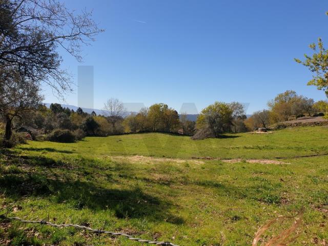 Terreno venda em Cabeceiras De Basto, Braga