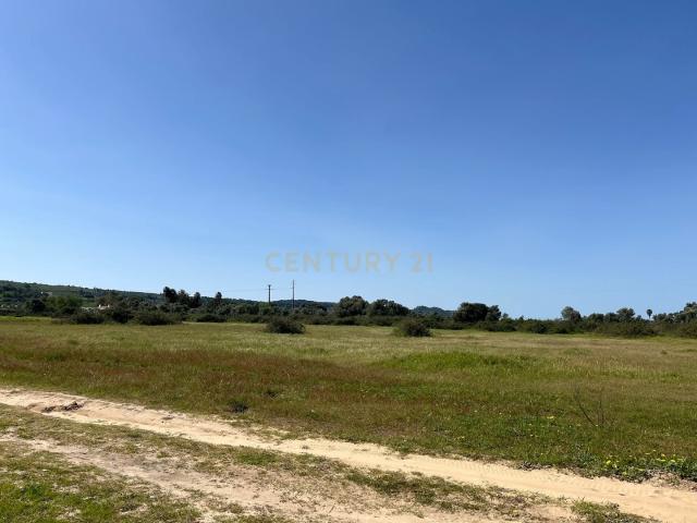 Terreno venda em Palmela (Noroeste), Palmela