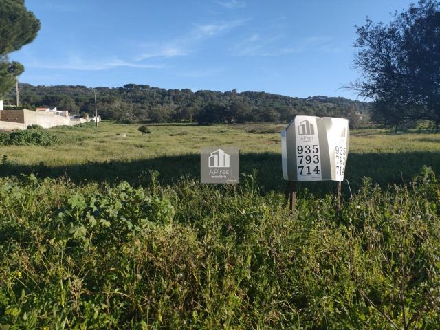 Terreno venda em Azeitão (São Lourenço e São Simão), Setúbal