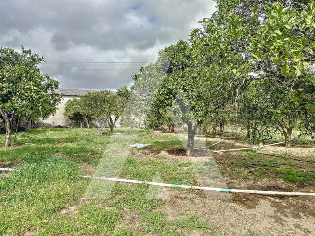 Terreno venda em Parceiros e Azoia, Leiria