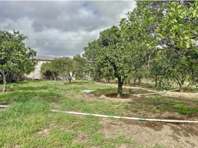 Terreno venda em Leiria