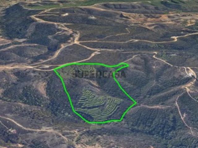 Terreno venda em Lagos, Faro