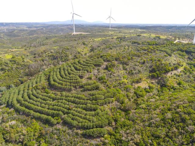 Terreno venda em Barão de São João, Lagos