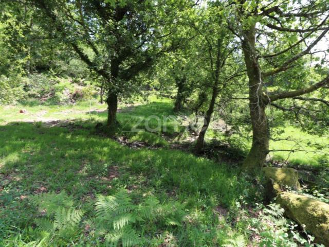 Terreno venda em Arcos De Valdevez, Viana Do Castelo