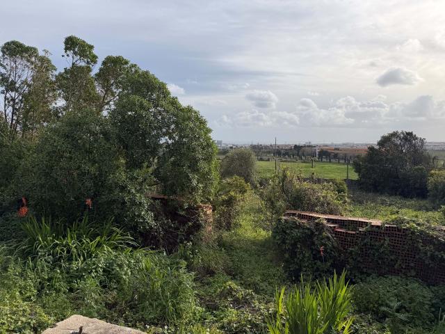 Quinta venda em Oeiras, Lisboa