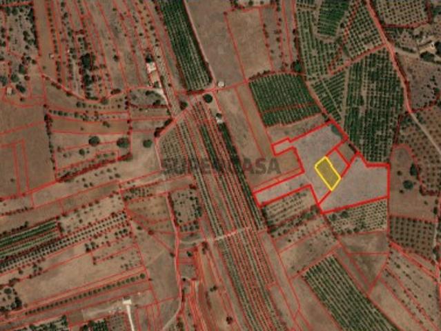 Terreno venda em São Bartolomeu De Messines, Faro