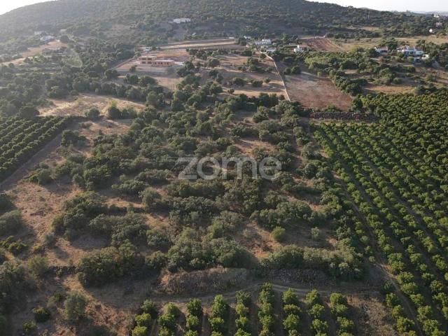 Terreno venda em São Bartolomeu De Messines, Faro