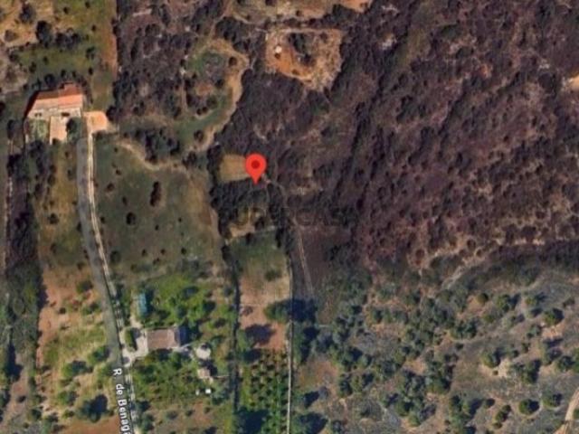 Terreno venda em Vales de Pera, Alcantarilha